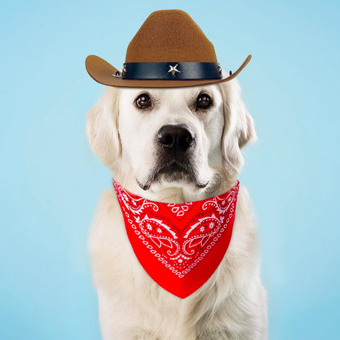 Pet Cowboy Hat Bandana Costume, Funny Dog Cat Costume Accessories Set West Cowboy Accessories for Mexican Birthday and Holiday Party Daily Wearing...