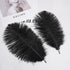 Shekyeon Black 10-12inch 25-30cm Ostrich Feather Home Decoration DIY Craft Pack of 10...