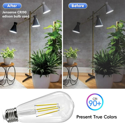 Edison LED Light Bulbs 60 Watt Equivalent 8W Dimmable LED Light Bulbs 5000K Daylight 800 Lumen CRI90 E26 Base for Ceiling Vanity Light Dinning Roo...