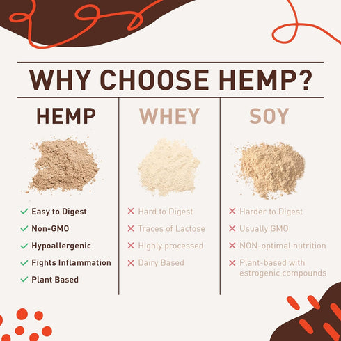 Hemp Vegan Protein Powder for Heart and Brain Health, Easy to Digest Chocolate Powder Drink with Plant Protein for Muscle Building and Recovery, 9...