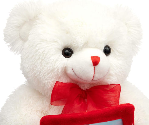 HollyHOME Teddy Bear Stuffed Animal Plush Bear with Red Bow Holding a Picture frame Soft Plush Toy Christmas Valentine's Day Gift 12 Inches White...