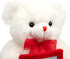 HollyHOME Teddy Bear Stuffed Animal Plush Bear with Red Bow Holding a Picture frame Soft Plush Toy Christmas Valentine's Day Gift 12 Inches White...
