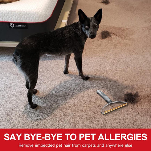 Pet Hair Remover Pro, Dog Cat Hair Remover, Portable Lint Cleaner, Fur Removal Rake Tool, Carpet Scraper, Fuzz Rollers Hairball Shaver Brush for C...