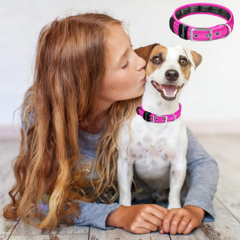 Comfort Fit Dog Collar - Soft Padded Dog Training Collar with Adjustable Buckle - Breathable and Lightweight Pet Collar - Durable, Heavy Duty Dog ...