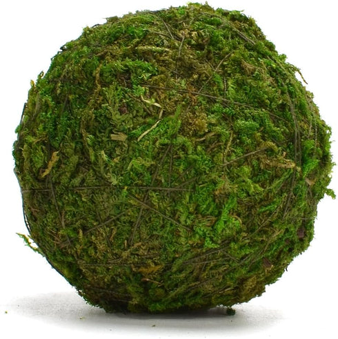 BYHER Natural Green Moss Decorative Ball,Handmade (2"-Set of 12)...