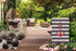AOYEGO Anchor Garden Flag Small Vertical Double Sided 12.5 x 18 Inch Striped Marine Vector Background Burlap Yard Outdoor Decor...