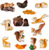 Maitys 14 Pieces Miniature Squirrel Figurine Mini Garden Accessories Tiny Resin Squirrel Toys Fairy Plastic Miniature Things Fall Figurines for Ou...
