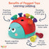 Battat Education – Fine Motor Peg Toy for Toddlers, Kids – Montessori Toy with Pegs – Educational & Developmental Toy – Learning Ladybug – 18 Mont...