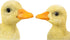 Hi- Line Gift 87697-B 2 Piece Ducklings Statue...
