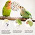 12 Pcs Bird Shreddable Toy 6 Natural Parrot Sola Balls Rattan Foraging Toys Chewing Accessories for Budgie Parakeet Cockatiel Orbs Crafts DIY Vase...