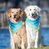 SCENEREAL Summer Dog Bandana, Double Side Dog Scarf for Small Medium Large Dogs Cats Puppy, Holiday Bandanas for Dogs Boys Girls, Premium & Soft F...