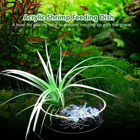 Acrylic Aquarium Shrimp Feeding Dish Bowl Fish Tank Transparent Food Container Feeder Tray Smaller Reptile Worms Pets Feeder Dish...