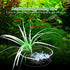 Acrylic Aquarium Shrimp Feeding Dish Bowl Fish Tank Transparent Food Container Feeder Tray Smaller Reptile Worms Pets Feeder Dish...