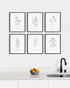 HAUS AND HUES Kitchen Herbs Wall Art Decor for Kitchen Herb Art Prints and Kitchen Signs Wall Decor | Herb Prints Kitchen Wall Art Kitchen Posters...