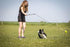 Flirt Pole for Dogs - Safe & Strong for Large Breeds w/Non-Bungee Cord - Spring Pole for Tug of War, Interactive Play & Puppy Training - Heavy-Dut...