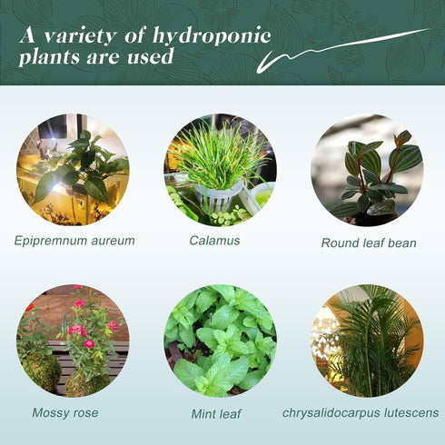 Upgrade Acrylic Aquarium Plant Holder Hanging Aquatic Plant Holder,Adjustable Suction Cup Fish Tank Plant Pot for Hanging Plant Cultivation and Aq...