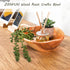 ZENFUN Wood Root Dish Bowl, Natural Wooden Bowl Snack Bowl, Handmade Serving Bowl for Candy, Bread, Snacks, Serving Appetizer Display, 7.8''-9.5''...