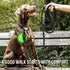COOYOO 2 Pack Dog Leash 4 FT Heavy Duty - Comfortable Padded Handle - Reflective Dog Leash for Medium Large Dogs with Collapsible Pet Bowl...