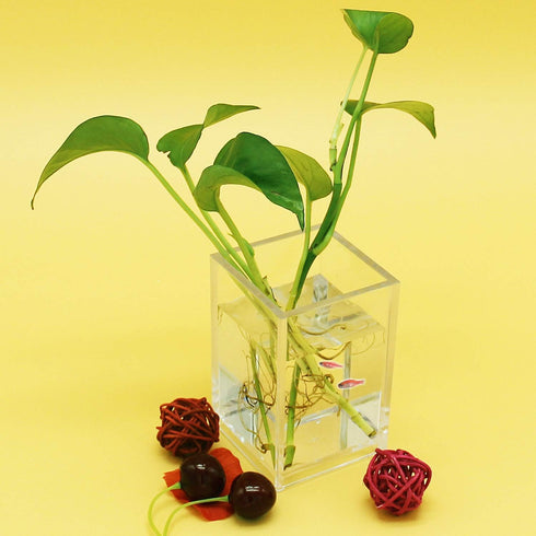 2 Pack Clear Acrylic Pencil Pen Holder Cup,Desk Accessories Holder,Makeup Brush Storage Organizer,Modern Design Desktop Stationery Organizer for O...