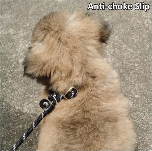 Long Slip Lead Dog Leash Reflective Anti-Choking 12FT/20FT/30FT/50FT Rope Training Leash for Medium Dogs Small Puppy Pets...
