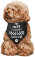 My Mom is So Obsessed with Me Dog Bandana Scarf Triangle Bibs Pet Accessories Cat Kerchief...