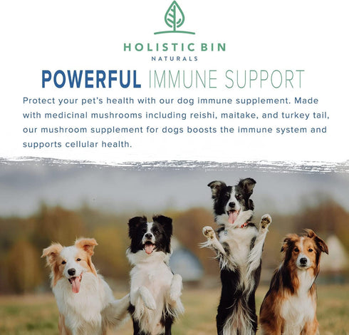Canine Super Immune Human Grade Beet, Chlorella, & Medicinal Mushroom Blend with Reishi, Maitake, & Turkey Tail Mushroom for Dogs | Powdered Dog I...