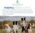 Canine Super Immune Human Grade Beet, Chlorella, & Medicinal Mushroom Blend with Reishi, Maitake, & Turkey Tail Mushroom for Dogs | Powdered Dog I...