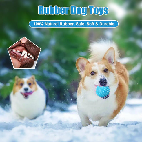 6 Pack Puppy Chew Toys for Teething, Interactive Pink Blue Small Dog Enrichment Toys for Small Medium Dogs Soft Rubber Puppy Teething Toys Dog Toy...