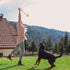 2 Pack Dog Ball, K9 Ball, Solid Rubber Ball on Rope for Reward, Fetch, Play (7cm)...