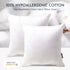 Phantoscope 18x18 Pillow Insert - Throw Pillow Insert with 100% Cotton Cover - 18 Inch Square Form Microfiber Pillow Sham Stuffer - Couch Cushion ...