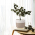 Woven Cotton Rope Plant Basket for 8" Flower Pot Small Basket for Plants Storage Organizer H7.5 x W8.5...