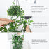 Whonline Fake Hanging Plants, Artificial Small Potted Plants for Indoor Outdoor Aesthetic Office Living Room Shelf Decor (1 Pack)...