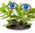 Tuitessine Resin Plant Eyes Stakes Set of 2, Eyeball Garden Plant Accessory, Evil Eye Plant Picks, Indoor Outdoor Plant Pot Decoration, Plant Love...