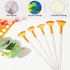 Giantree 5 Pcs Fan Paint Brushes Sets, Oil Acrylic Paint Brushes Wood Handle Nylon Hair Watercolor Fan Brush for Painting Brush for Acrylic Painti...