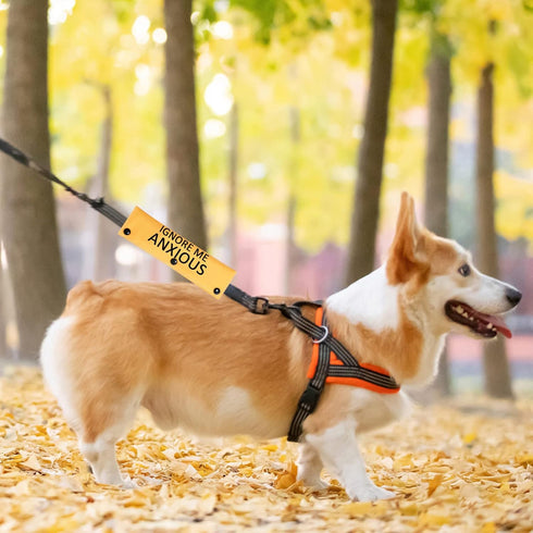 Rescue Dog Anxious Dog Leash Sleeve Nervous Dog Leash Sleeve Nervous Anxious Dog Gift (Anxious Space Sleeve)...