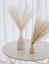ChagoArt-Pampas Grass Decor Tall-Faux Pampas Grass Small 17"-6 Stems-Beige and Taupe-Brown-Pompas Floral-Fake Pampas Grass-Artificial Pampas Grass...
