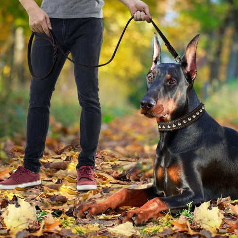 Leather Dog Leash 4ft x 3/4 inch, Heavy Duty Dog Leash, Strong Sturdy Genuine Leather Braided Dog Leash, Soft and Comfortable Leather Leash for La...