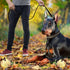 Leather Dog Leash 4ft x 3/4 inch, Heavy Duty Dog Leash, Strong Sturdy Genuine Leather Braided Dog Leash, Soft and Comfortable Leather Leash for La...
