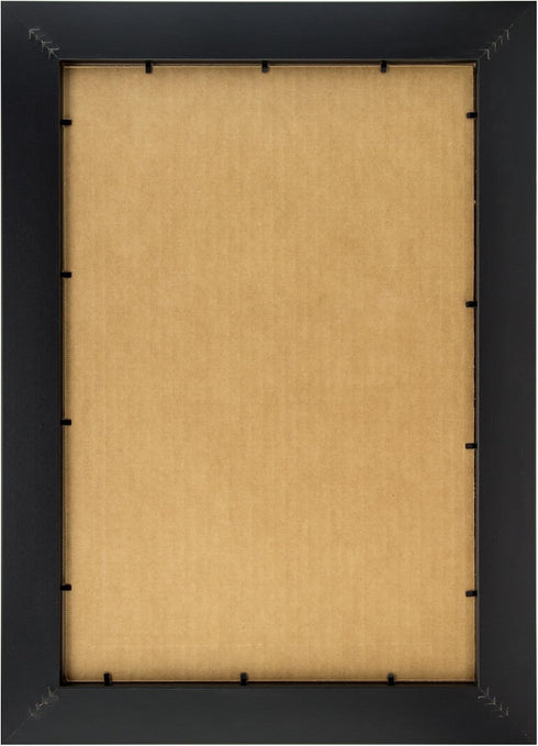 Craig Frames 232477781620N 1-Inch Wide Picture/Poster Frame in Smooth Wood Grain Finish, 16 by 20-Inch, Brazilian Walnut...