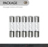 Conext Link AGU30-10 Nickel 30 Amp AGU Fuse 10 Pack ?14185?...