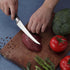 6 Inch Professional Boning Knife with Gift Box, Boning Knife for Meat Cutting, Razor Sharp Deboning Knife for Brisket Trimming, Stainless Steel Cu...
