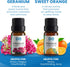 Everlasting Comfort Pure Essential Oils Set - Natural Aromatherapy Essential Oils for Diffuser, Humidifier, Home, Skin - Lavender, Geranium, Vanil...
