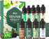 Essential Oils Set 10 Scents-Diffuser Oils for Home,Essential Oils Scents for Diffusers,Home, Aromatherapy,Candle&Soap,Aromatherapy…...