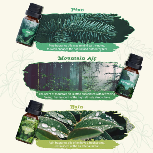 SALKING Nature Fragrance Oils, Premium Essential Oil for Diffuser, Scented Oil Gift Set for Soap Candle Making - Pine, Ocean Breeze, Rain, Fresh C...