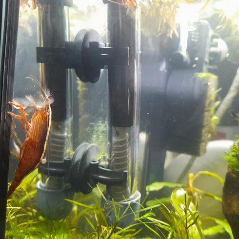 OIIKI 15PCS Fish Tank Suction Cup Clips, Black Aquarium Suction Cup Camp Clips for Fish Tank Attachments for Tank Pump, Overhead Line Tube, Fish T...