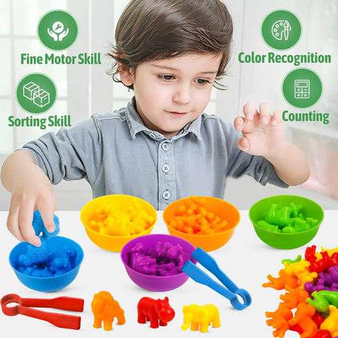 RAEQKS Counting Sorting Toys Matching Stacking Toys with Bowls Preschool Learning Activities Educational Sensory Game Montessori STEM Toy Daycare ...