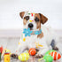 Dog Collar Easter Gift with Flower Tie, Rabbit Egg male Dog Collar with Safety Metal Buckle Adjustable Puppy Collars for Small Medium Large Boy & ...