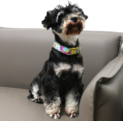 Tie Dye Summer Cotton Dog Collar with Metal Buckle Gift Collar for Small Medium Large Girls or Boys Dogs Cute Durable Comfortable Pet Collars...