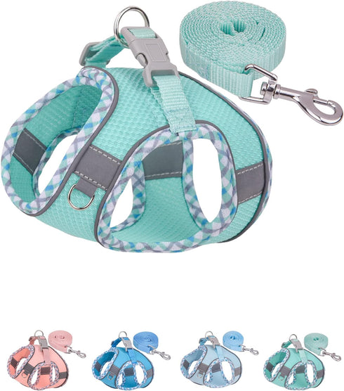 Petank Dog Harness for Small Medium Dogs No Pull, Puppy Harness and Leash Set, Easy Walk Dog Harness for Walking, Running, Training, Small Dog Har...