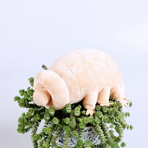 Tardigrade Plush Waterbear Stuffed Animal Water Bear Sea Creature Plush Toy, 9"...